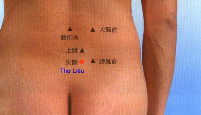 Huyệt Thứ Liêu giúp khai uất, lợi tiểu, điều kinh