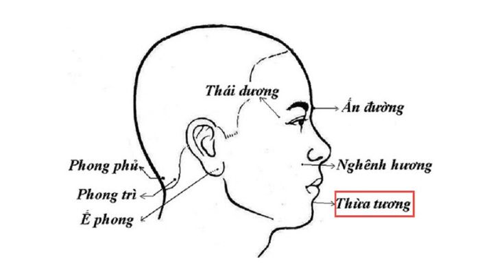 Huyệt Thừa Tương nằm ở chỗ lõm giữa cằm