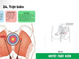 Huyệt Trật Biên chủ trị các vấn đề ở vùng mông, thắt lưng, chi dưới