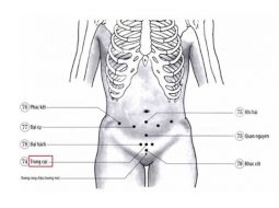 Huyệt Trung Cực cho tác dụng hiệu quả trong chăm sóc vùng dưới rốn