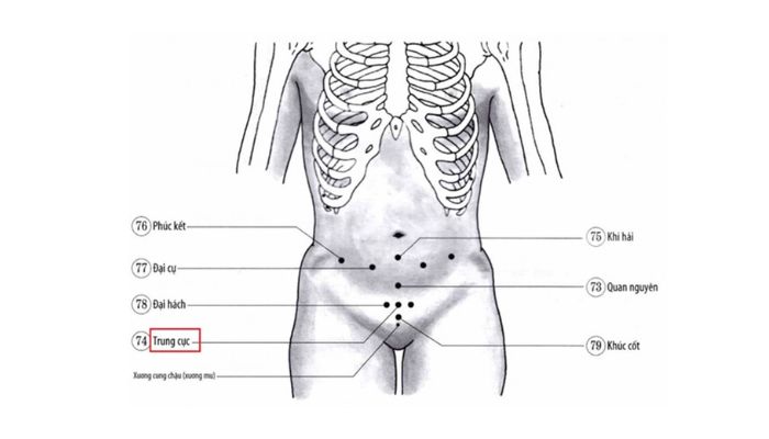 Huyệt Trung Cực cho tác dụng hiệu quả trong chăm sóc vùng dưới rốn