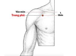 Huyệt Trung Phủ nằm trên đường kinh Phế