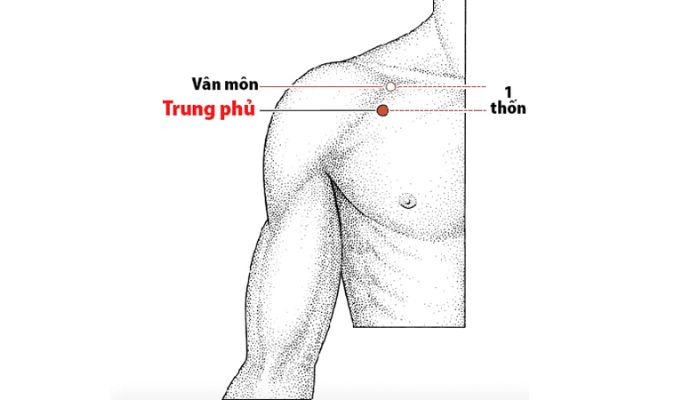 Huyệt Trung Phủ nằm trên đường kinh Phế