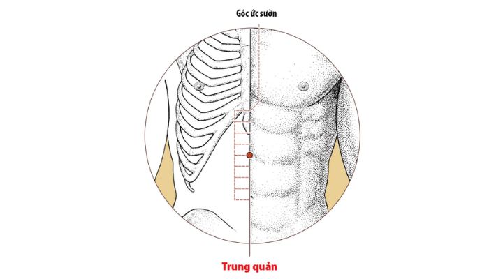Huyệt Trung Quản hỗ trợ tốt các vấn đề về hệ tiêu hóa