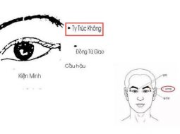 Huyệt Ty Trúc Không nằm ngay gần đuôi lông mày