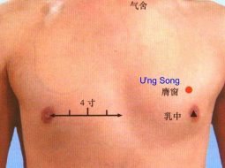 Huyệt Ưng Song chủ trị các chứng liên quan tới hô hấp