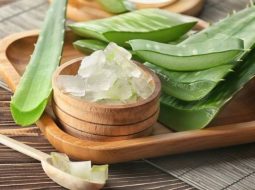 Nha đam có chữa trào ngược dạ dày được không? Dùng sao cho đúng?