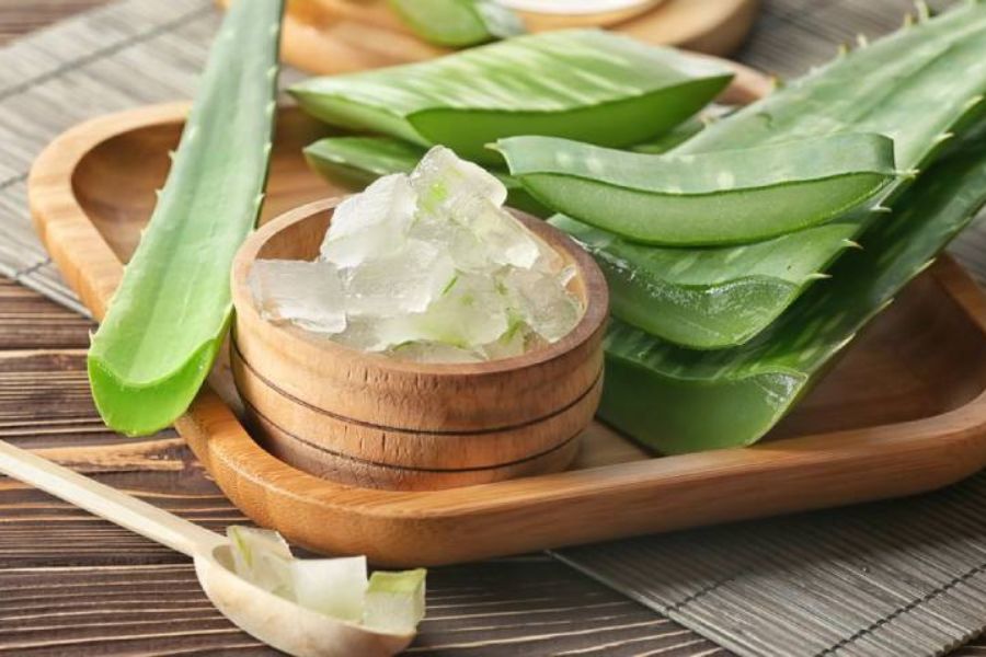 Nha đam có chữa trào ngược dạ dày được không? Dùng sao cho đúng?