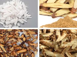 Bài Thuốc Bạch Hổ Gia Quế Chi Thang