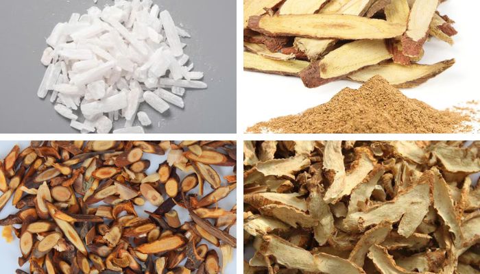 Bài Thuốc Bạch Hổ Gia Quế Chi Thang