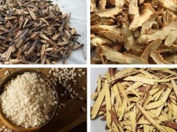 Bài thuốc Bạch Hổ Quế Chi Thang