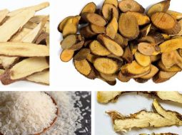 Bài Thuốc Bạch Hổ Quế Chi Thang