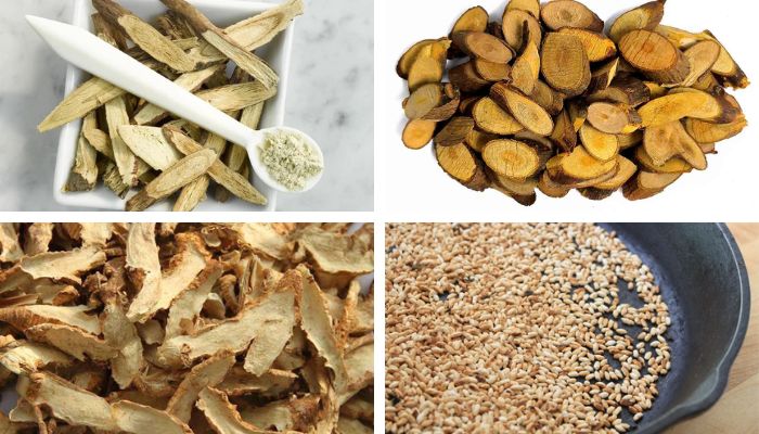 Bài Thuốc Bạch Hổ Quế Chi Thang (Viêm Khớp Dạng Thấp)