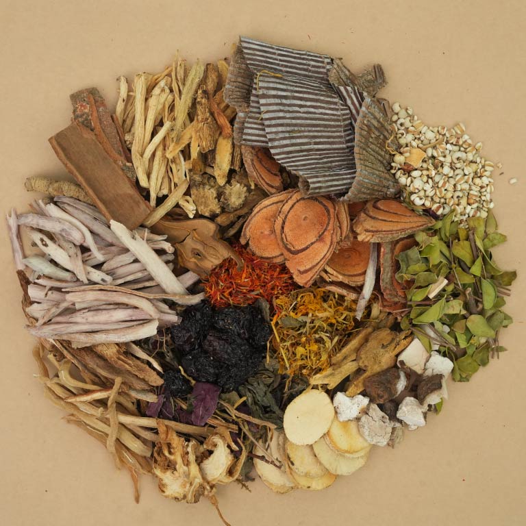 Bài thuốc Xương Khớp Thuốc Dân Tộc