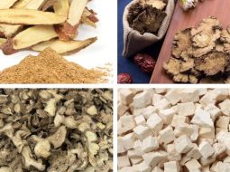 Bài Thuốc Can Khương Thương Truật Thang (Viêm Khớp Dạng Thấp)