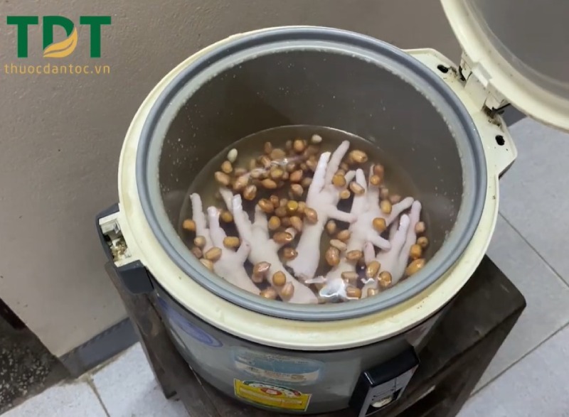 Bí quyết nấu chân gà hầm lạc giúp xương khớp dẻo dai