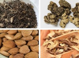 Bài Thuốc Đào Hồng Ẩm