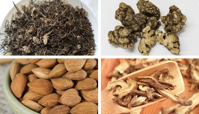 Bài Thuốc Đào Hồng Ẩm