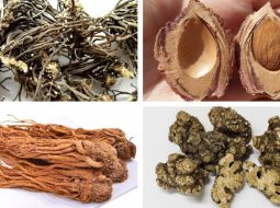 Bài Thuốc Đào Nhân Ẩm Hợp Nhị Trần Thang