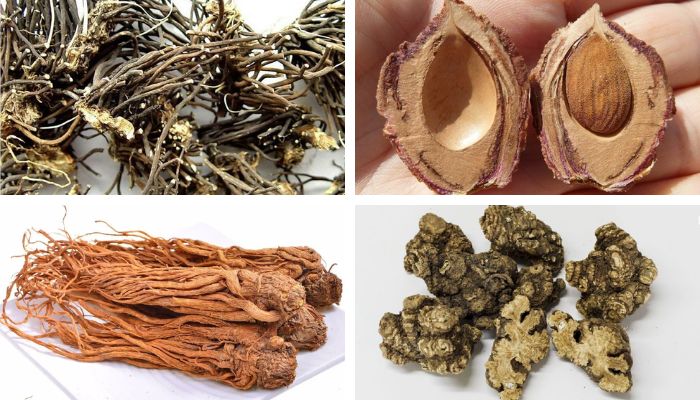 Bài Thuốc Đào Nhân Ẩm Hợp Nhị Trần Thang