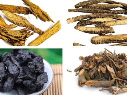 Bài thuốc Độc Hoạt Ký Sinh Thang