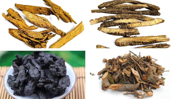 Bài thuốc Độc Hoạt Ký Sinh Thang