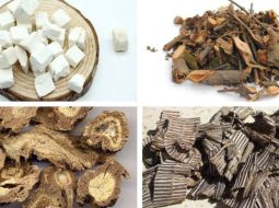 Bài Thuốc Độc Hoạt Ký Sinh Thang (Viêm Khớp Dạng Thấp)