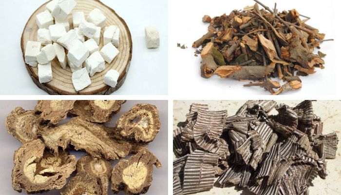 Bài Thuốc Độc Hoạt Ký Sinh Thang (Viêm Khớp Dạng Thấp)