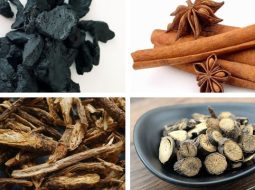 Bài Thuốc Độc Hoạt Ký Sinh Thang (Thoái hóa khớp gối)