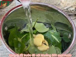 Lá lốt nấu gừng – Mẹo dân gian giúp dịu đau xương khớp tại nhà