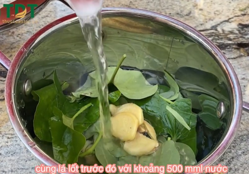 Lá lốt nấu gừng – Mẹo dân gian giúp dịu đau xương khớp tại nhà