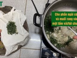 Ngải cứu – Vị thuốc dân gian giúp xoa dịu đau nhức xương khớp