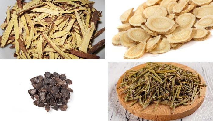 Bài thuốc Ô Đầu Thang