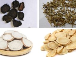 Bài Thuốc Ô Đầu Thang (Thoái Hoá Khớp Gối)