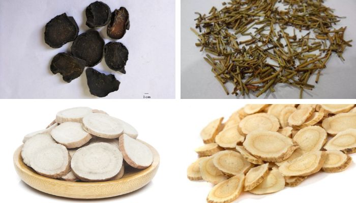 Bài Thuốc Ô Đầu Thang (Thoái Hoá Khớp Gối)