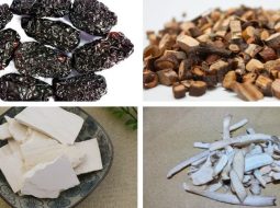 Bài Thuốc Quế Chi Gia Cát Căn Thang