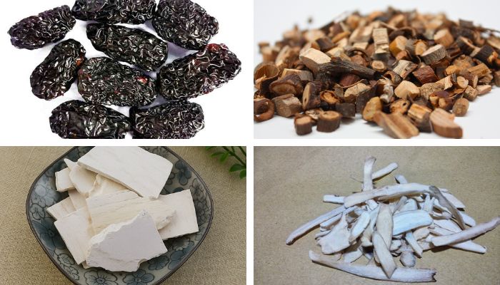 Bài Thuốc Quế Chi Gia Cát Căn Thang