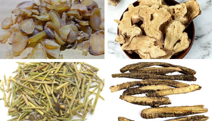 Bài Thuốc Quế Chi Thược Dược Tri Mẫu Thang (Viêm Khớp Dạng Thấp)