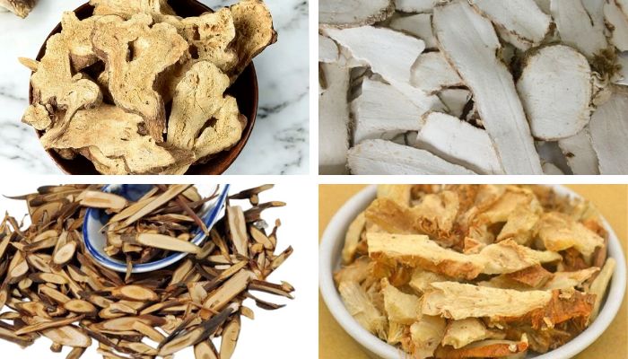 Bài Thuốc Quế Chi Thược Dược Tri Mẫu Thang (Thoát Vị Đĩa Đệm Cổ)