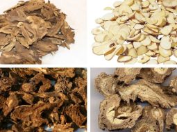 Bài Thuốc Quyên Tý Thang