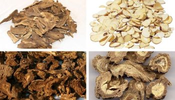 Bài Thuốc Quyên Tý Thang