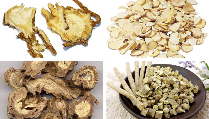 Bài Thuốc Quyên Tý Thang (Thoát Vị Đĩa Đệm Cổ)