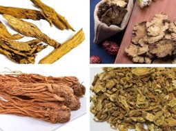 Bài Thuốc Thân Thống Trục Ứ Thang