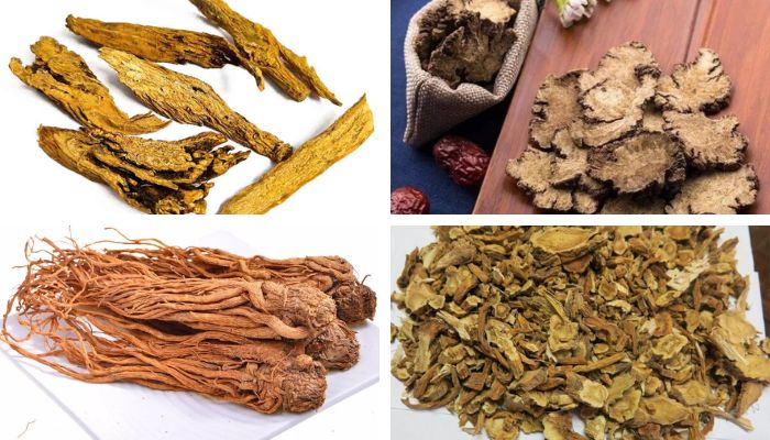 Bài Thuốc Thân Thống Trục Ứ Thang