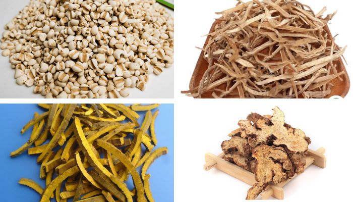 Bài Thuốc Tứ Diệu Tán