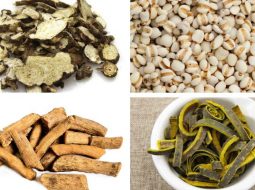 Bài thuốc Tứ Diệu Thang