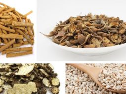 Bài thuốc Tuyên tý thang hợp Tam diệu thang