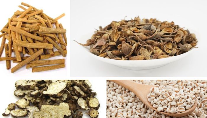 Bài thuốc Tuyên tý thang hợp Tam diệu thang