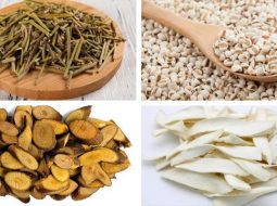 Bài thuốc Ý Dĩ Nhân Thang