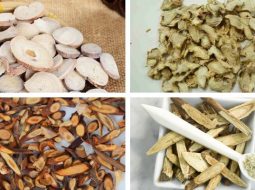 Bài Thuốc Ý Dĩ Nhân Thang (Thoái Hóa Khớp Gối)